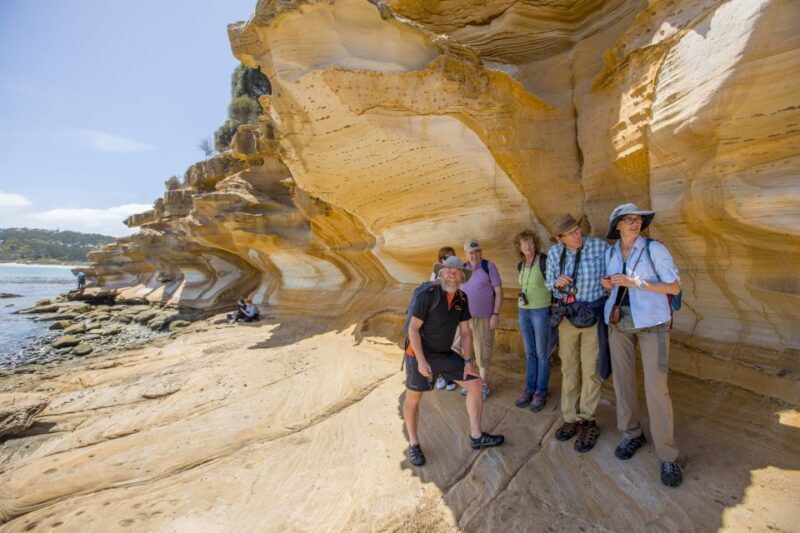 Hobart: Maria Island National Park Active Full-Day Tour - A Closer Look at the Maria Island Experience
