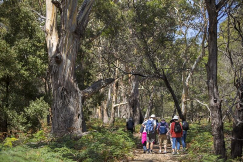 Hobart: Maria Island National Park Active Full-Day Tour - FAQ