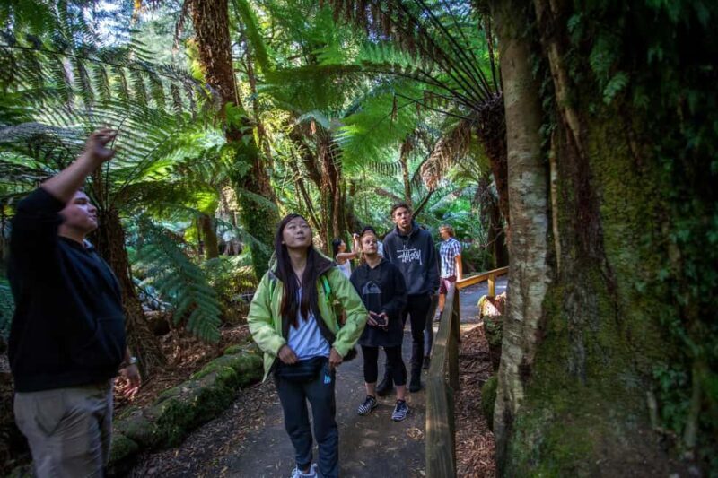 Hobart: Mt Field National Park & Wildlife Shore Excursion - The Sum Up
