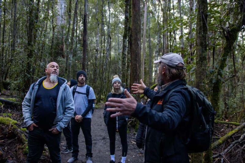 Hobart: Mt Field National Park & Wildlife Shore Excursion - FAQ