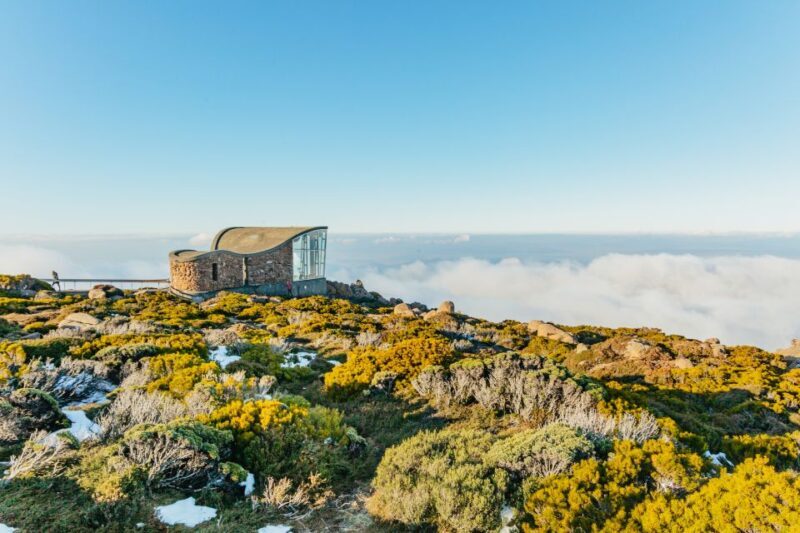 Hobart: Mt Wellington, Mt Field, Bonorong and Richmond Trip - Exploring Tasmania in a Day: An Authentic Overview