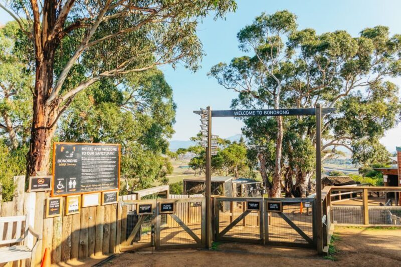 Hobart: Mt Wellington, Mt Field, Bonorong and Richmond Trip - Who Will Love This Tour?