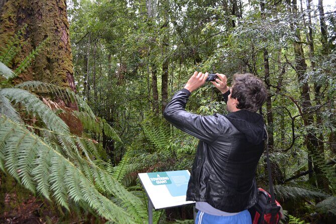 Hobart Shore Excursion Private Tour - Key Points