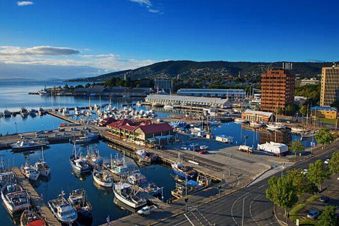 Hobart Shore Excursion: Small Group Mount Wellington 3-Hour Bike Tour - Key Points