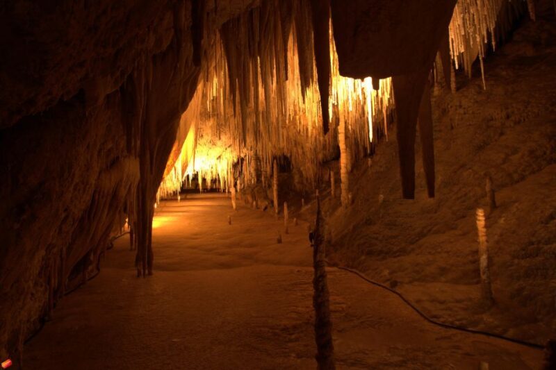 Hobart: Tahune Airwalk & Hastings Caves - Active Day Tour - An In-Depth Look at the Tour Experience