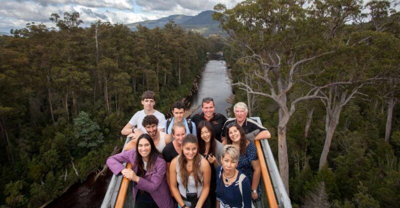 Hobart: Tahune Airwalk & Hastings Caves - Active Day Tour - Who Would Love This Tour?
