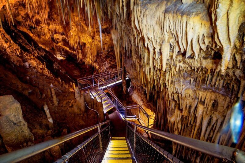 Hobart: Tahune Airwalk & Hastings Caves - Active Day Tour - FAQs