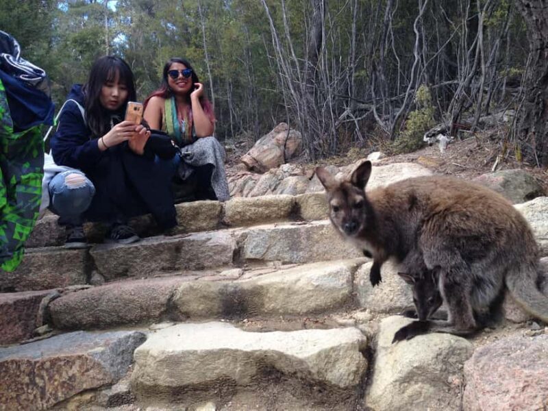 Hobart: Wineglass Bay & Freycinet Active Day Tour - FAQ