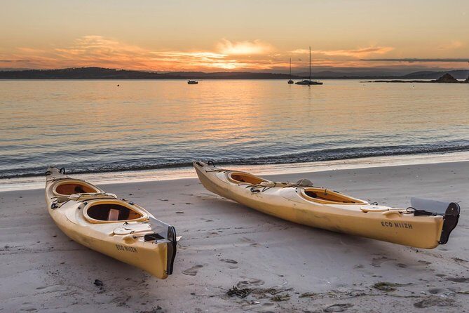 Hobart's Cliffs, Caves and Beaches Kayak Tour - An in-depth look at the Hobart’s Cliffs, Caves, and Beaches Kayak Tour