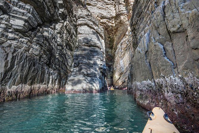 Hobart's Cliffs, Caves and Beaches Kayak Tour - Practical Tips for Your Kayaking Day