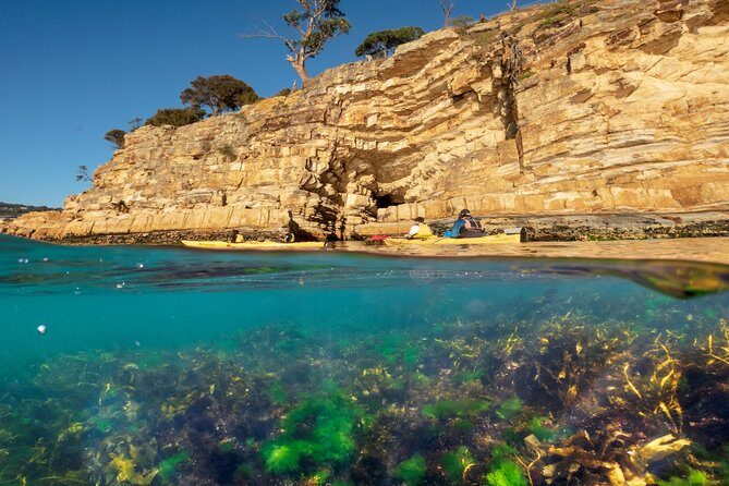 Hobart's Cliffs, Caves and Beaches Kayak Tour - Frequently Asked Questions