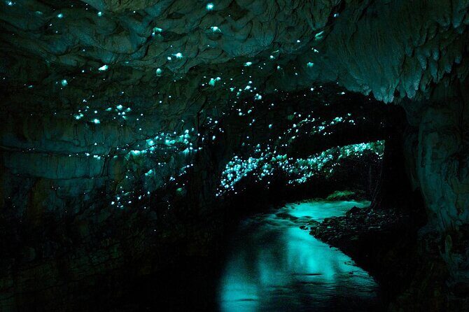 Hobbiton Movie Set and Waitomo Caves Exclusive (1-6 traveler) - Frequently Asked Questions