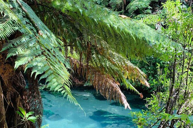 Hobbiton Movie Set & Blue Springs: Private Tour from Auckland - Frequently Asked Questions