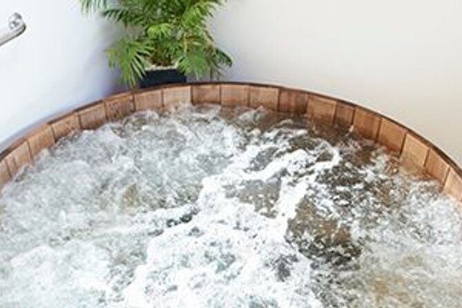 Hobbiton Movie Set Tour to Blue Springs and Mineral Spa - The Sum Up