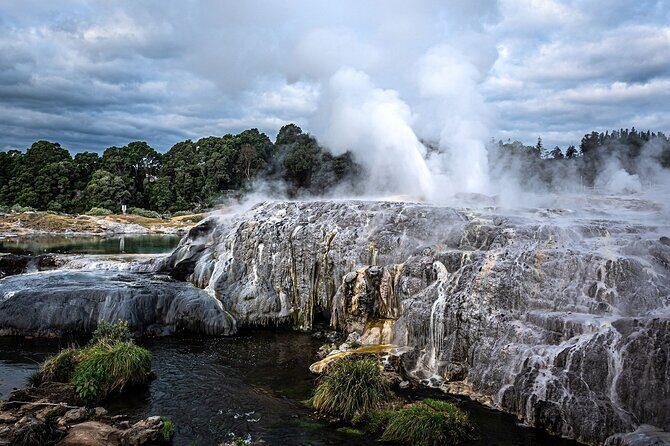 Hobbiton Movie Set with Te Puia Day Tour - Who Will Love This Tour?