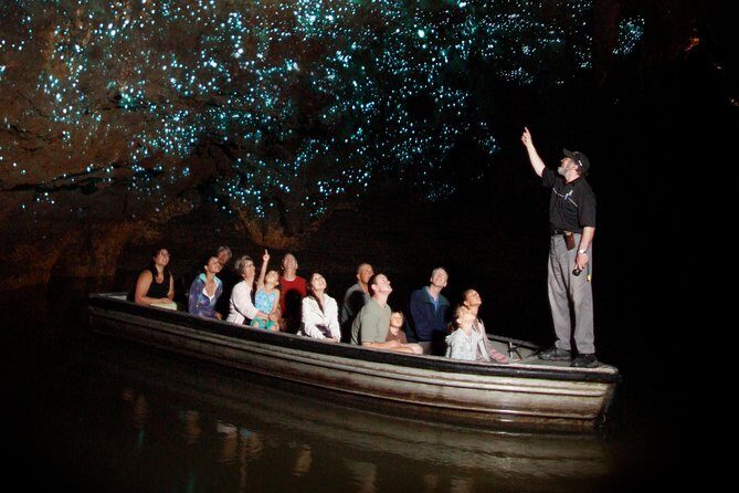 Hobbiton & Waitomo Caves Exclusive Luxury Day Tour From Auckland - A Day to Remember: Hobbiton & Waitomo Glowworm Caves from Auckland