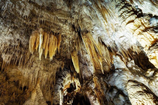 Hobbiton & Waitomo Caves Small Group Tour from Auckland inc Lunch - Frequently Asked Questions