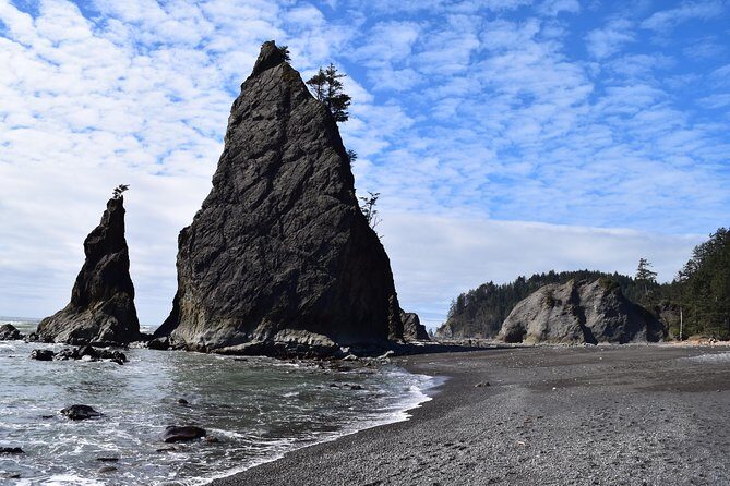 Hoh Rain Forest and Rialto Beach Guided Tour in Olympic National Park - A Deep Dive into the Olympic National Park Tour Experience