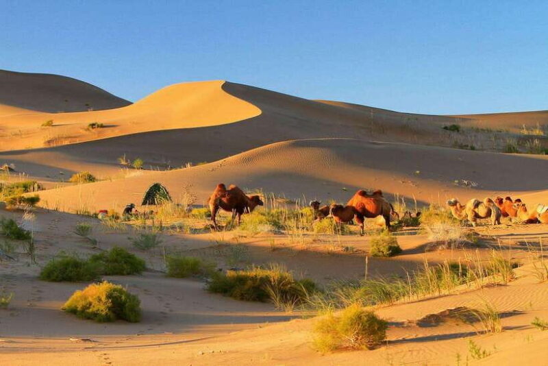 Hohhot: 6-Day Private Tour to Huitengxile and Kubuqi Desert - Key Points