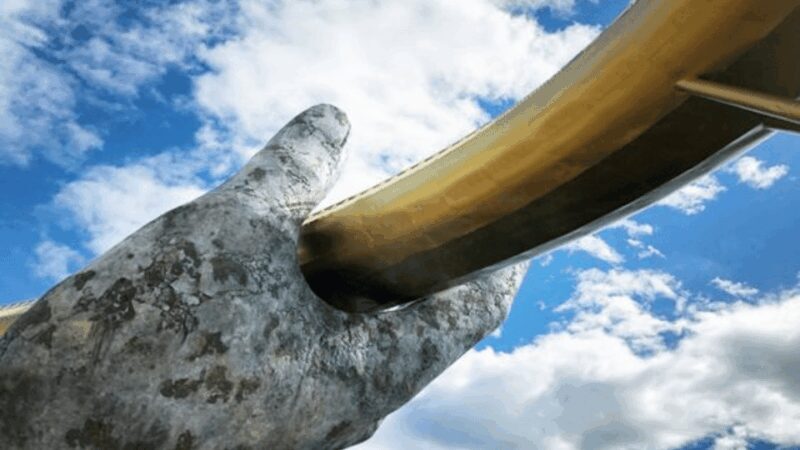 Hoi An: 3 Options for Ba Na Hills & Golden Bridge Day Trip - Key Points