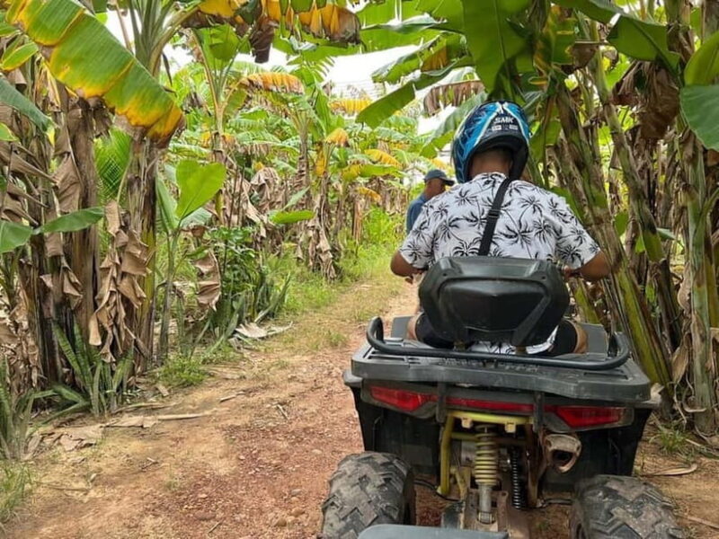 Hoi An: ATV, Quad Bike Adventure Drive & BBQ - Key Points