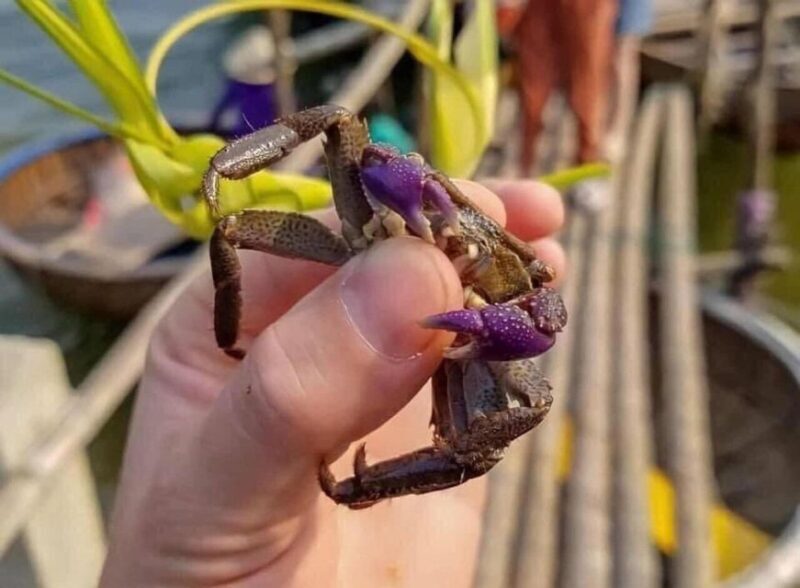 Hoi An : Bamboo Basket Boat Tour with Transportation - A Detailed Look at the Bamboo Basket Boat Tour