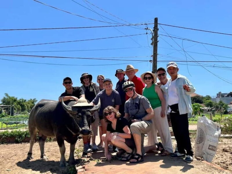 Hoi An: Biking- Basket Boat - Farming &Cooking Class Tra Que - A Deep Dive Into the Experience