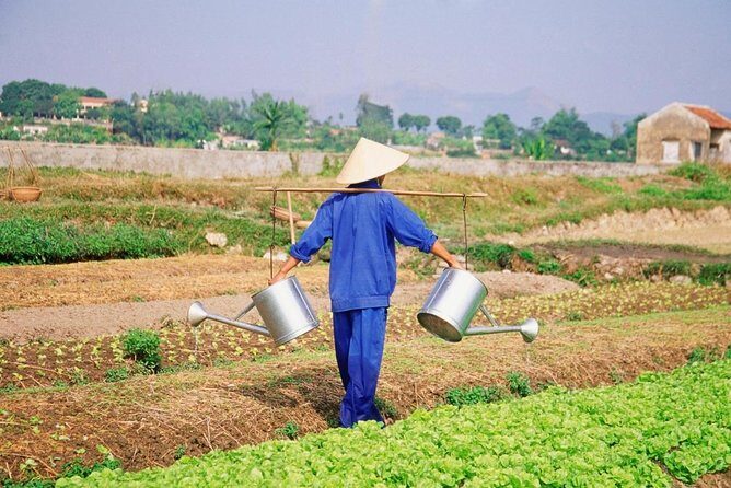 HOI AN Biking Vegetable Village, Basket Boat, Coconut Forest - Key Points