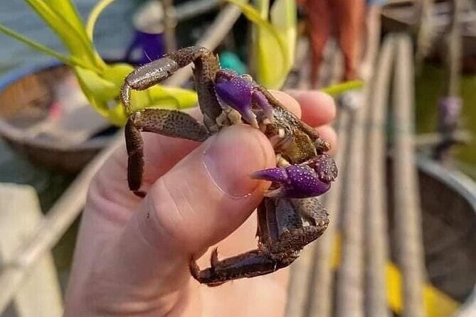 Hoi An Buffaloes Riding/Coracle Boat Tour/Coffee Class with Lunch - The Real Value in the Experience