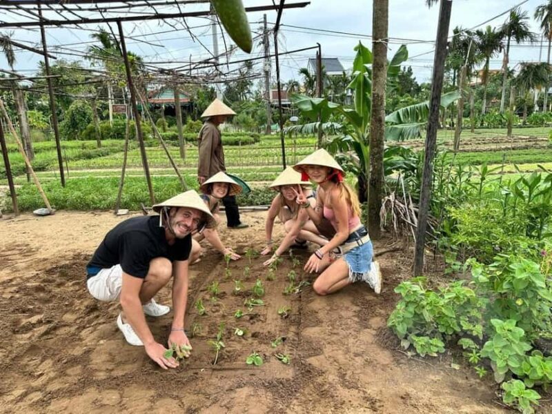 Hoi An Cooking Class in Tra Que Organic Vegetable Village - Practical Considerations and Value