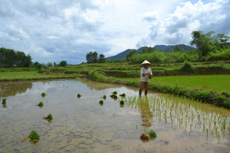 Hoi An Countryside Bicycle Tour : 25 Km Real Vietnam - An Introduction to Your Day in Vietnam’s Countryside
