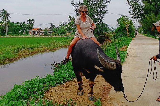 Hoi An Countryside & Cultural Gallery Ethnic Group - Private Tour - Practical Tips for Booking and Participation