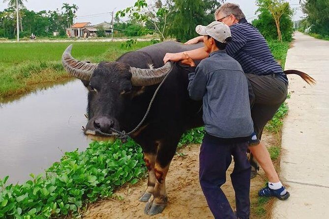 Hoi An Countryside & Cultural Gallery Ethnic Group - Private Tour - Who Should Take This Tour?