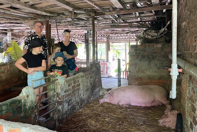 Hoi An Countryside, Village Life & Tasty Local Lunch - Key Points