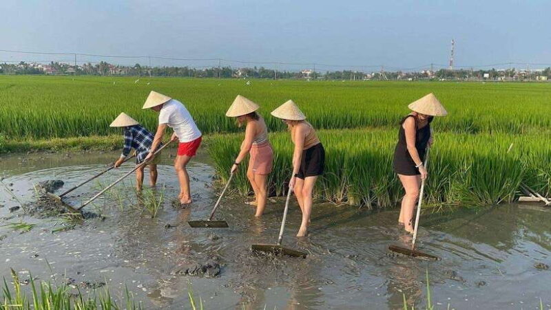 Hoi An: Cycling, buffalo riding,be a Farmer and Fisher man - FAQ
