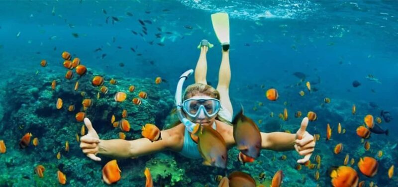 Hoi An/Da Nang: Cham Islands Snorkeling by Speedboat w Lunch - Exploring the Itinerary in Detail