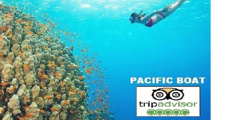 Hoi An/Da Nang: Snorkelling & Island-Hopping Speedboat Tour - Why We Think This Tour Works