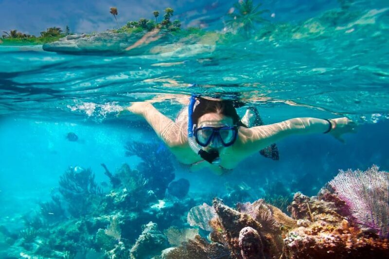 Hoi An/Da Nang:Cham Island Daily Tour-Snorkeling Experience - The Value Proposition