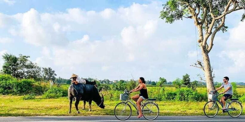 Hoi An Eco Bike Tour: Visit Cultural & Traditional Villages - Why This Tour Works for Travelers