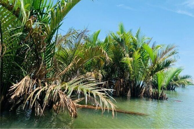 Hoi An Farming And Fishing Life - Private Tour - What Travelers Love Most