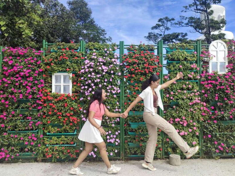 Hoi An: Full-day Ba Na Hills & Amazing Golden Bridge - Practical Tips for Your Trip