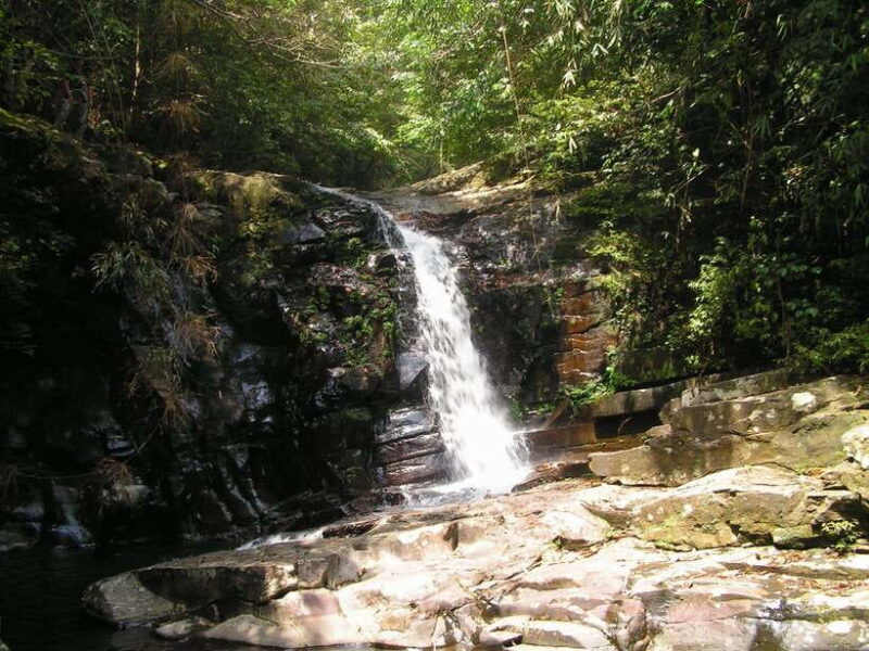 Hoi An: Full-day Bach Ma National Park Trek & Beach Retreat - The Sum Up