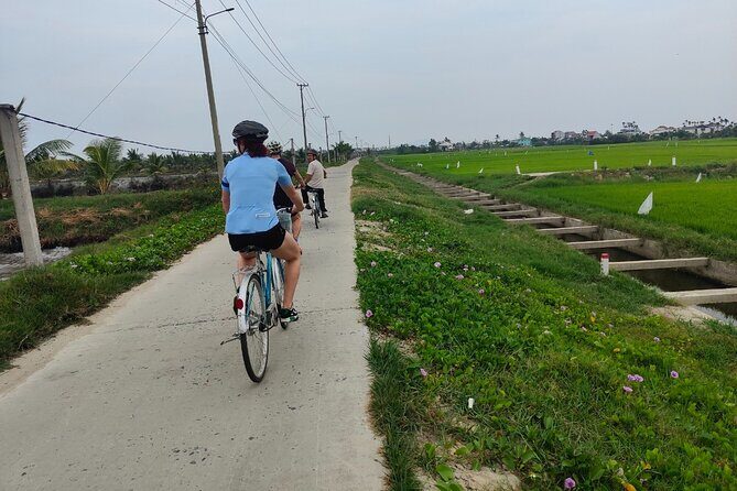 Hoi An Half-Day Bicycle Tour: Visit Herb Village, Row Basket Boat - Key Points