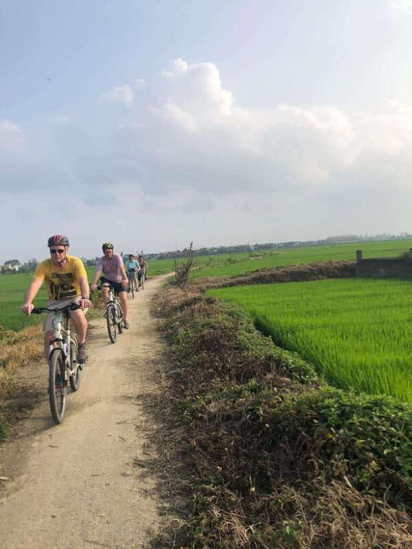Hoi An: Half-Day Bike Tour with Local Guide - Why It’s a Good Value
