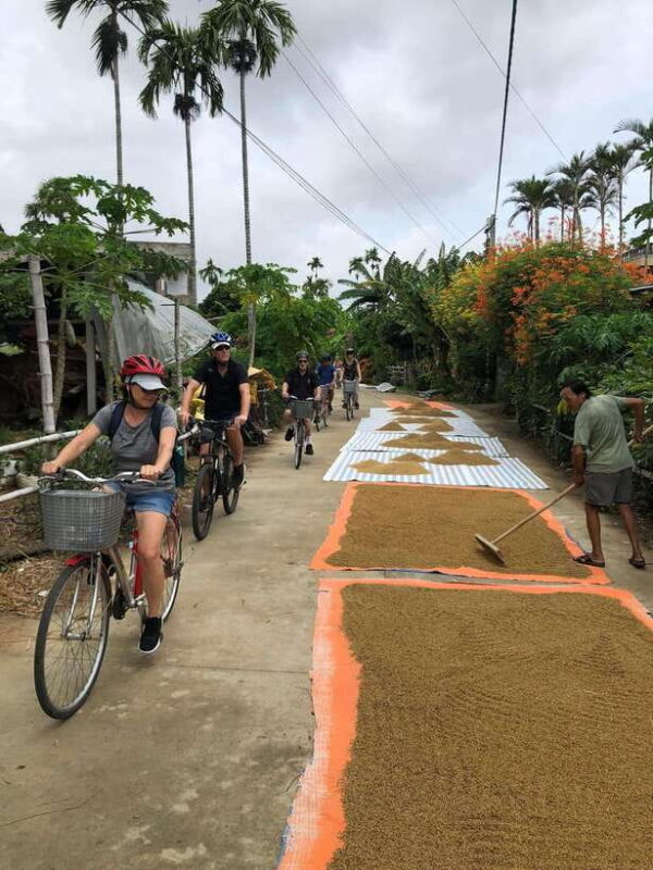 Hoi An: Half-Day My Son Sanctuary Bike Tour - A Ride through Vietnamese Countryside to Ancient Temples