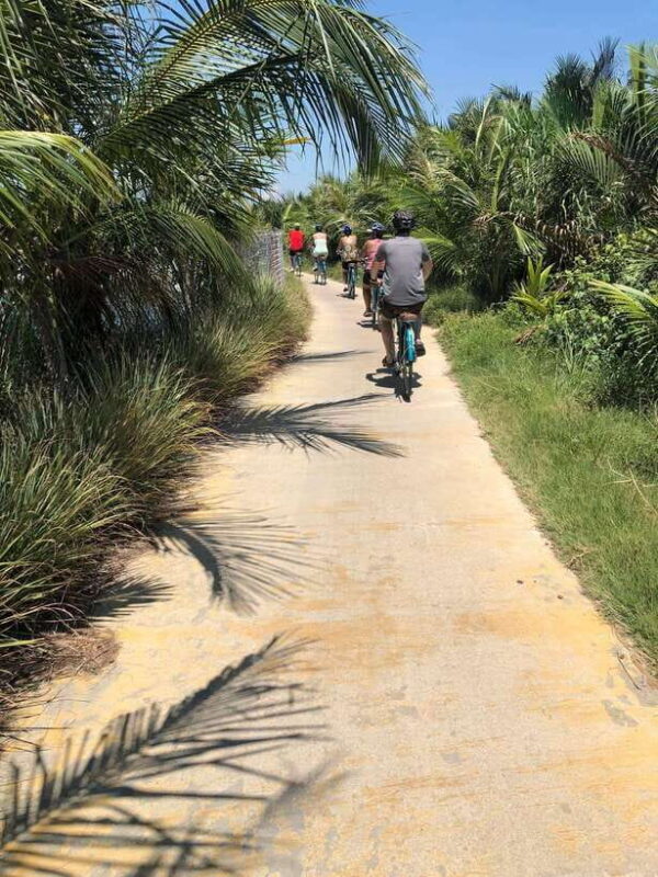 Hoi An: Half-Day My Son Sanctuary Bike Tour - Who Will Love This Tour?