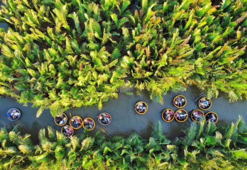 Hoi An: Hoi An Basket Boat Ride in Water Coconut Forest - The Sum Up