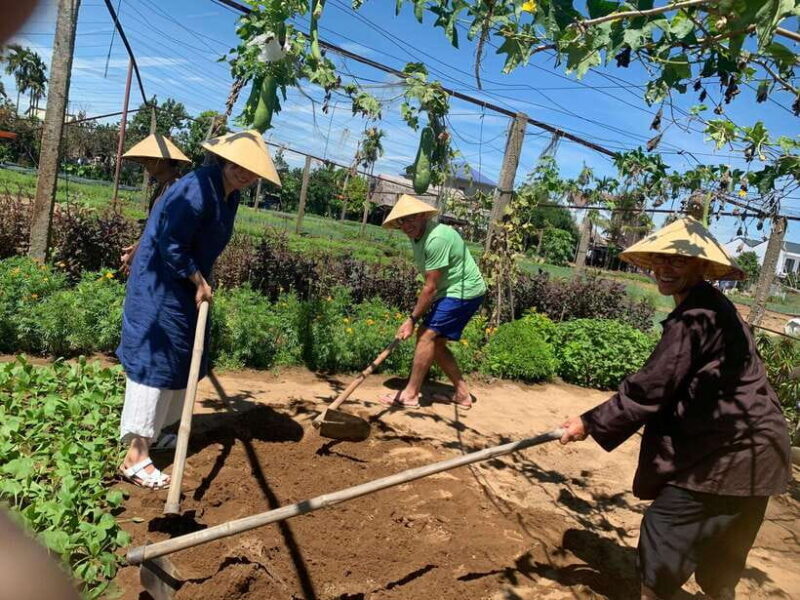 Hoi An: Marble Mountains, Monkey Mountain and Cooking Class - Exploring the Day’s Journey: From Market to Mountain Heights