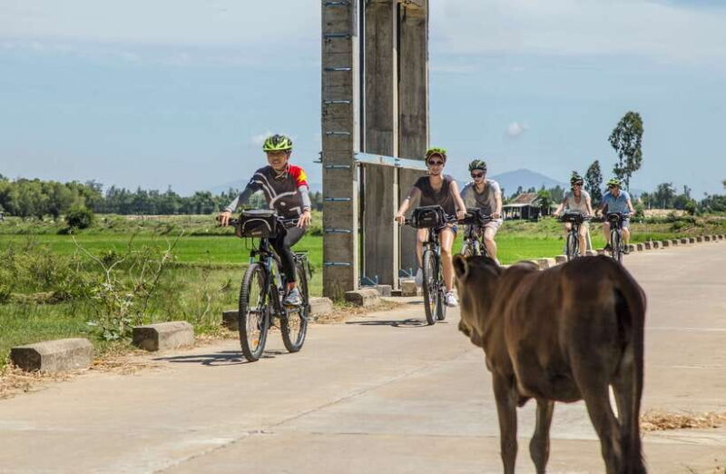 Hoi An: Morning Countryside Tour by Bike - A Detailed Look at the Hoi An Morning Countryside Bike Tour