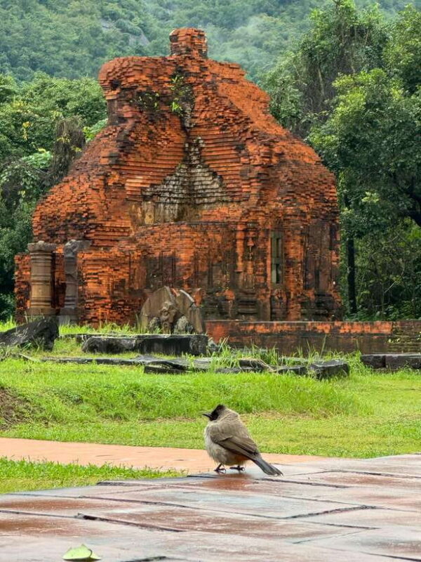 Hoi An: My Son Sanctuary Private Tour with Local Guide - In-Depth Look at the Tour Experience